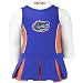 Florida Gators Royal Blue Toddler Two Piece Cheerleader Dress