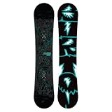 Burton Blunt Wide 156 cm 2012 Snowboard