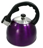 Purple Stainless Steel Shiny Tea Kettle