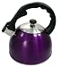 Purple Stainless Steel Shiny Tea Kettle