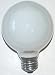 GE 12982 25 Watt Globe G25 Light Bulb, Soft White, 6-Pack