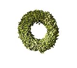 Preserved Boxwood 16 Inch Wreath