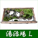 �y�������z�~�́E�~�i ������iL�j