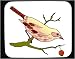 Mouse Pad with berry, thrush, perching, eating, bird, animal