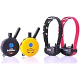 Educator ET-302-2T-CP Two Dog, Two Transmitter Mini 1/2 Mile E-Collar Remote Dog Training Collar With Vibration and Tapping Sensation