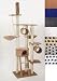 Garten & Freizeit : KBD006 Kratzbaum beige