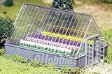 O Snap KIT Greenhouse w / Flowers - B0006KQIJ6
