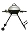 Portable Gas BBQ SunnCamp Encore Portable Gas BBQ