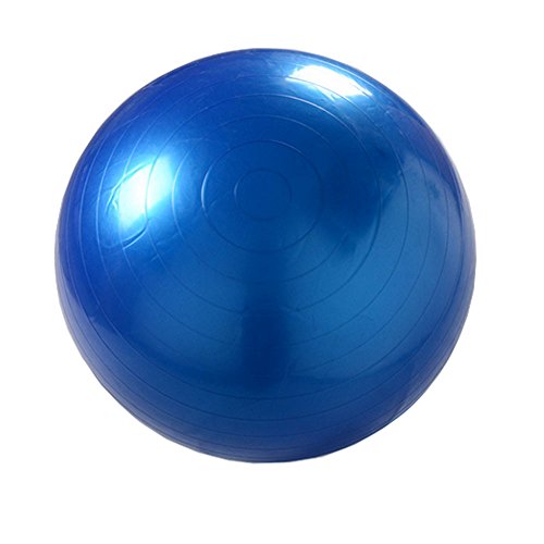 Ladyfavor Extra Thick Anti-Burst Stability Exercise Ball for Yoga, Balance, Workout, Fitness, Gym, Pilates & Physical Therapy with Pump