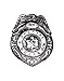 New Metallic Metal Costume Accessory Cop Police Badge