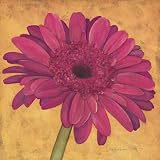 Pink Gerber Floral & Botanical Art Poster Print by Stephanie Marrott, 12x12