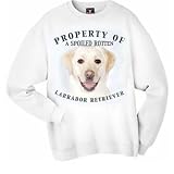 Labrador Retriever YELLOW Property Of Adult Sweatshirt