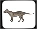 Decorated Mouse Pad with Australia, 