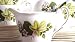 Kitchen & Housewares : Grosvenor Jackson and Gosling Spring Song Cake Plate