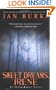 Sweet Dreams, Irene: An Irene Kelly Novel