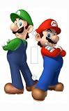 Mario and Luigi Decorative Light Switch Cover Plate 41ofzk7B8iL. SL160 Mario and Luigi Decorative Light Switch Cover Plate