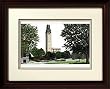 University of Detroit, Mercy Alumnus Alumnus 14x18 Mahogany Framed Collegiate Lithograph