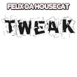 Tweak [12 inch Analog]