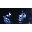 Black Butterfly 500pc Jigsaw Puzzle by M. Wallace