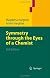 Symmetry through the Eyes of a Chemist, 3rd Ed.