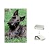 schnauzer13 - Scottish Terrier Scottie Flip Top Lighter