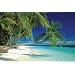 (24x36) Maldive Islands (Tropical Palm Trees Over Water) Art Poster Print