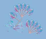 Rainbow Ribbon Star Princess Wands (1 dz)