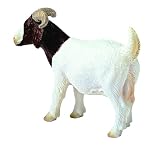 Boew She Goat Toy, 3.22