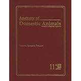 anatomy of domestic animals systemic  regional approach