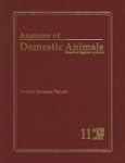 Anatomy of Domestic Animals: Systemic...