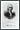 Frame: black victorian 1