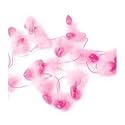 20 Love Heart Fairy Lights