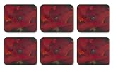 Jason Midday Coasters