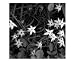 My Stars Emerging Artists Photographic Poster Print, 20x16