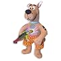 Character Options  Scooby Doo  Scooby Doodle Doo 36 months)