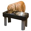 The Big Dog Feeder - 16" Black