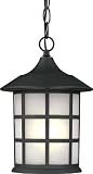 Artcraft Lighting AC8675BK Yorktown Medium Outdoor Lantern Light, Black