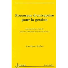 Processus d'entreprise pour la gestion : changements induits par le e-commerce et le e-business