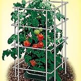 Plant Support - Park's Tomato Pen