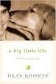A Big Little Life (A Memoir of a Joyful Dog) (Hardcover)