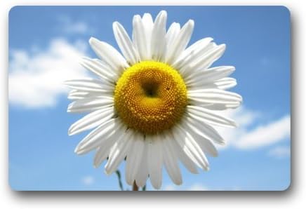Daisy Flower Under The Blue Sky Doormats Entrance Mat Floor Mat Door Mat Rug Indoor/Outdoor/Front Door/Bathroom Mats Rubber Non Slip (23.6"x15.7",L x W)
