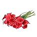 Wuudi 20pcs Calla Lily Bridal Wedding Bouquet Head Latex Real Touch Flower Bouquets(Red)