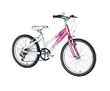 Review Raleigh  / Raleigh Krush 20
