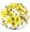 Daisy Flower Bowl, Deluxe