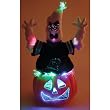 SC Sports Carolina Panthers Fiber Optic Ghost