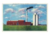 Nampa, Idaho - Exterior View of the Amalgamated Sugar Company
Factory, c.1945 Giclee Poster Print, 12x16