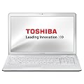 Toshiba Satellite C670D-12T 43,9 cm (17,3 Zoll) Notebook (AMD E-450, 1,7GHz, 4GB RAM, 500GB HDD, AMD HD 6320, DVD, Win 7 HP)