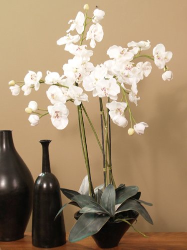 Linen White Tall Silk Orchid Design O106-76