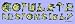 Copulate Responsibly Magnetic Bumper Sticker