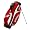 Wisconsin Badgers